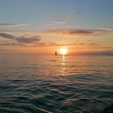 Sonce *