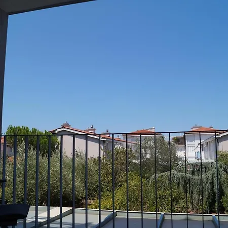 Sonce *
